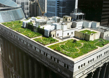 Photo: Rooftop Garden on Chicago's City Hall