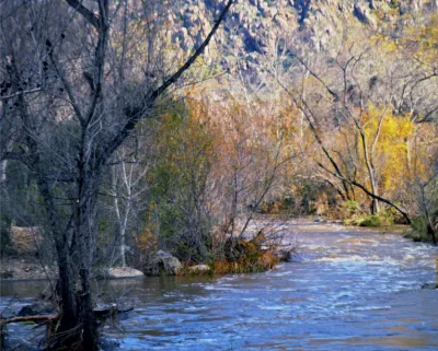 The San Diego River where it passes through the Mission Trails Regional Park.