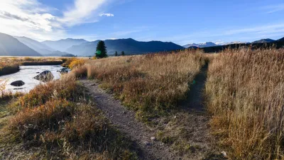 Paths Diverging