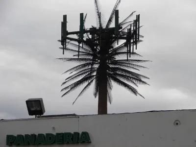 Cell Tower, MonoPalm, Los Angeles