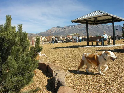 Dog Park