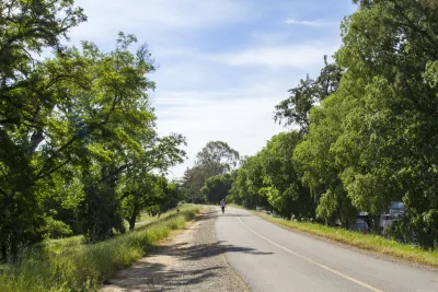American River Bike Trail, Sacramento, CA