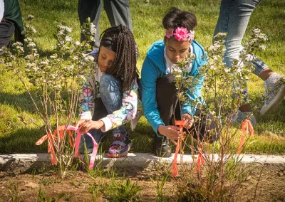 Detroit Bioretention Garden