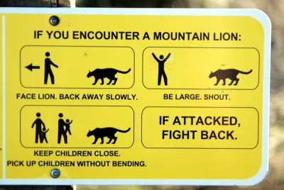 WIldlife