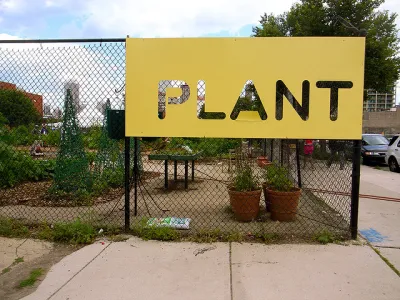 Chicago Community Garden