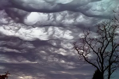 Asperatus
