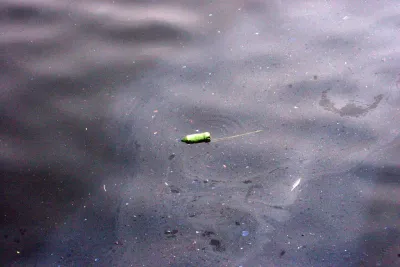 Gowanus Canal, Dirty Water