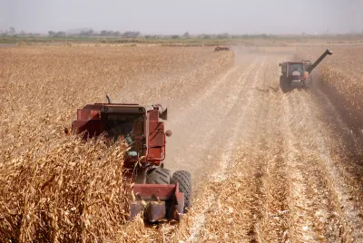 Two red combines harvesting corn in central California.