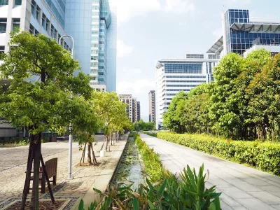 Small trees on city sidewlak with glass buildings in background.