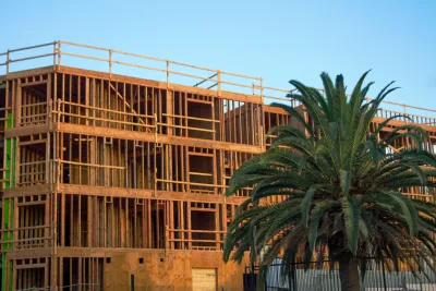 Wood-frame building under construction with robust palm tree in front