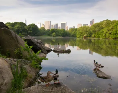 Lake in city park with ducks in foreground and city skyline across the lake in the background.