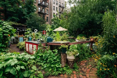 Lush urban community garden with raised beds in dense New York City neighborhood with brick apartment buildings in background.