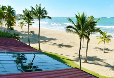 Close-up of rooftop solar panel on sandy peach with tall palm trees.