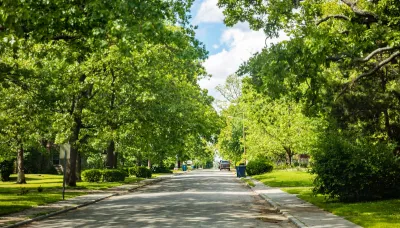 Large trees on either side of wide suburban street.