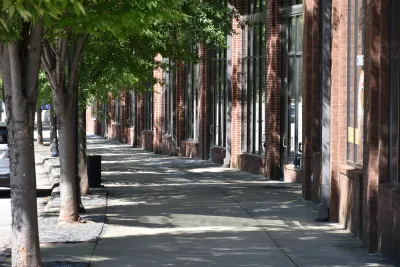 Urban sidewalk shaded by large mature trees