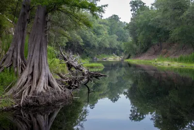 Suwanee river with tall trees along the banks in northern Florida