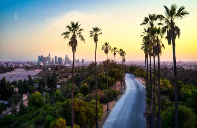 Sunset view of tall palm trees and shorter trees lining empty street with Los Angeles skyline and crescent moon in background.