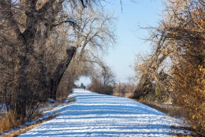 Snowy path with trees on both sides near Denver, Colorado.