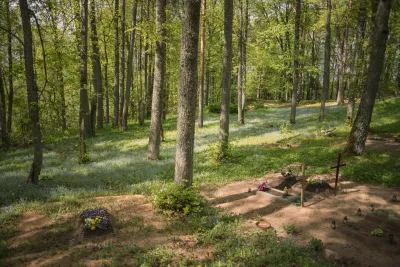 Photos of modest gravesites surrounded by a lush, green forest.