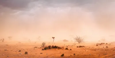 Dusty desert landscape with low visibility and few scraggly plants.