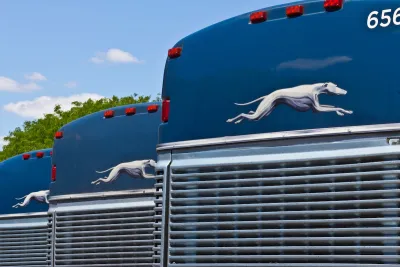 Dark blue Greyhound buses parked in a row.