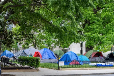 Tents covered with blue tarps in a homeless encampment on a lawn in Washington, D.C.