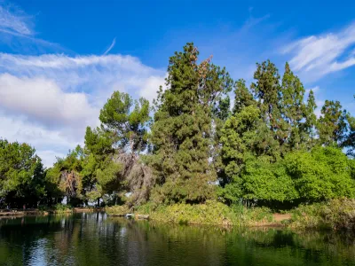 View of trees and pond at Ernest E. Debs Regional Park in Los Angeles, California.