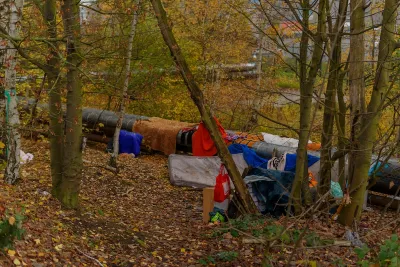 Small encampment with tents and mattress along heating pipe in green forest.