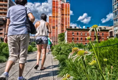 Low close-up of yellow flowers and pedestrians walking on New York City's High Line linear park.