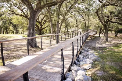 Wooden walkway in forest in Bonnet Springs Park, Lakeland, Florida.