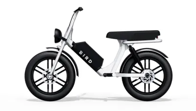 Bird Cruiser
