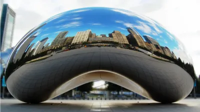 Bean06_Crop