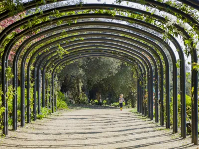 A little girl running in the beautiful Descanso Garden in Los Angeles, California.