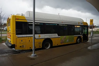 Yellow and white city bus at stop in Dallas, Texas.