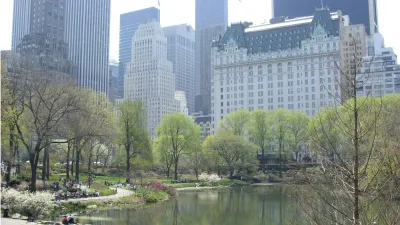 Central Park - Manhattan, New York