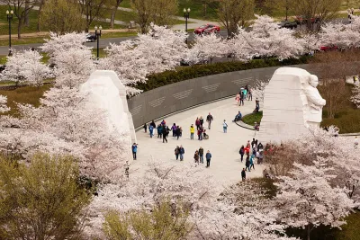 Several visitors walk around the Martin Luther King Jr Memorial, which is surrounded by cherry blossom trees in bloom with pale pink flowers.