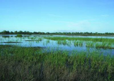 Natural Resources Conservation Service's Wetlands Reserve Program