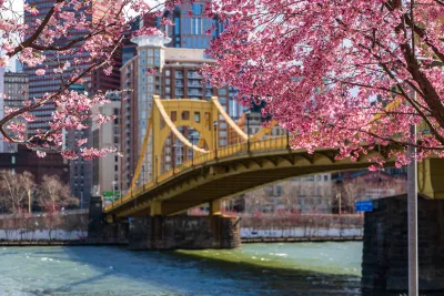 One of Pittsburgh’s bridges is visible through cherry blossoms, with downtown high-rises in the background.