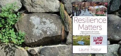 Ivy-covered stone wall and cover of Resilience Matters e-book