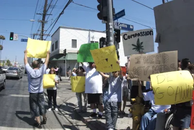 Medical Marijuana Protest