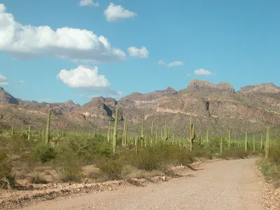 Organ Pipe Cactus National Monument