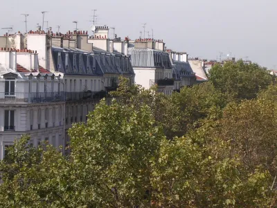 Paris Trees