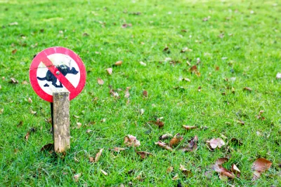 Dogs and Lawns