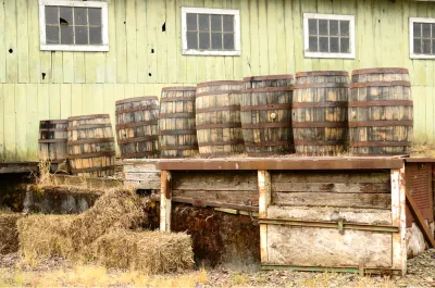 Wine Barrels
