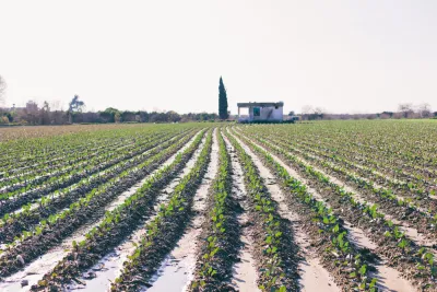 Agricultural Land