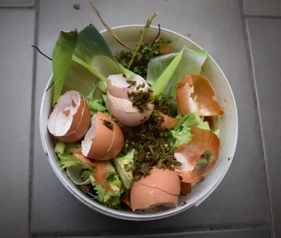 Compost Pile