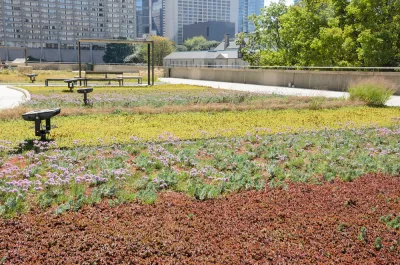 Green Roof