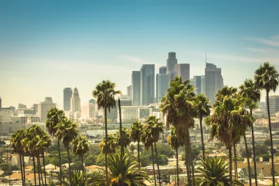 View of Los Angeles skyline on sunny day with palm trees in foreground