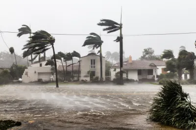 Flooded street with palm trees bending in the wind during Hurricane Irma in Ft. Lauderdale, Florida