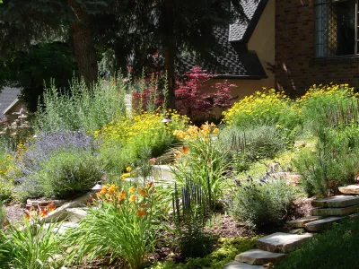Front yard landscaped with native plants and flowers